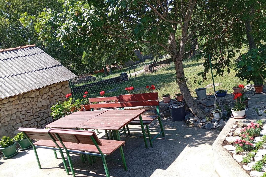Photo of Others in Obrovac