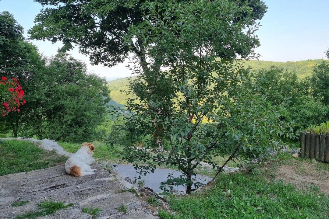 Photo of Others in Poljanak