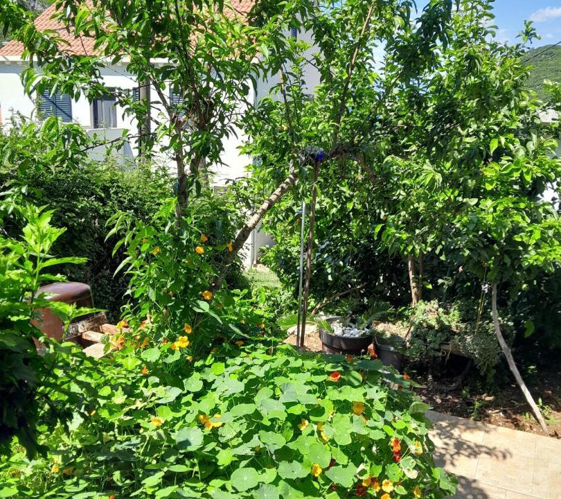 Photo of Outdoor in Prozurska Luka