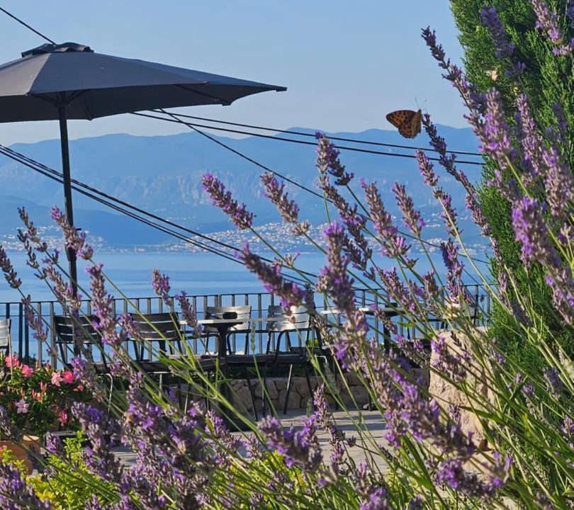 Photo of Others in Vrbnik