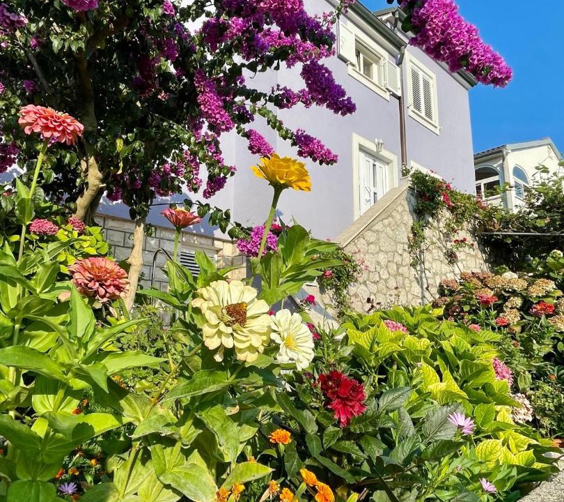 Photo of Others in Cove Murtar