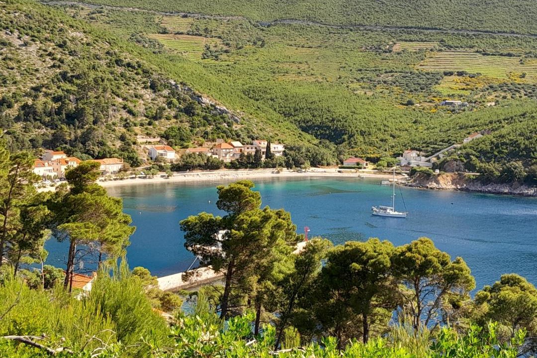 Photo of Others in Trstenik