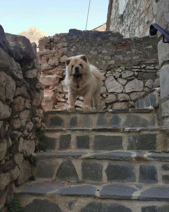 Photo of Others in Tisno