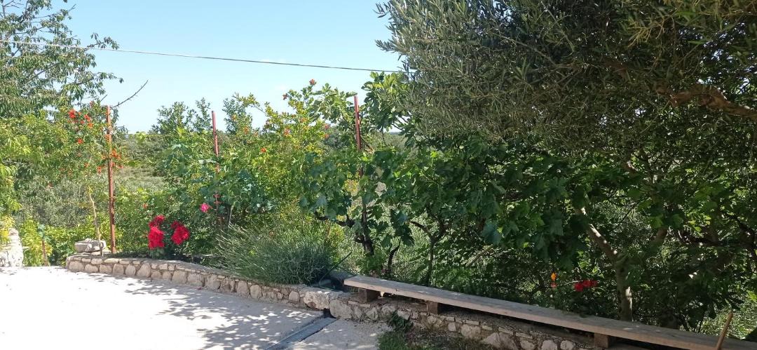 Photo of Outdoor in Razanac
