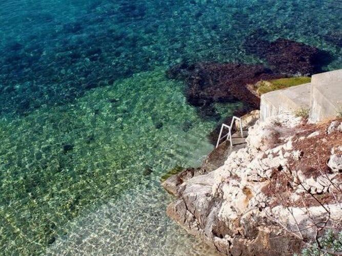 Photo of Others in Brsecine