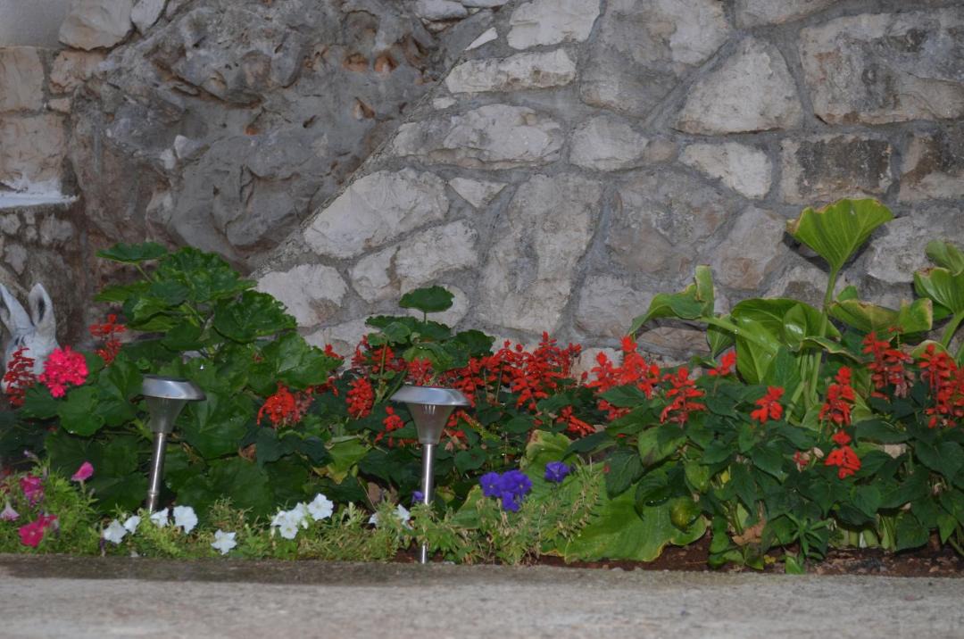 Photo of Others in Trpanj