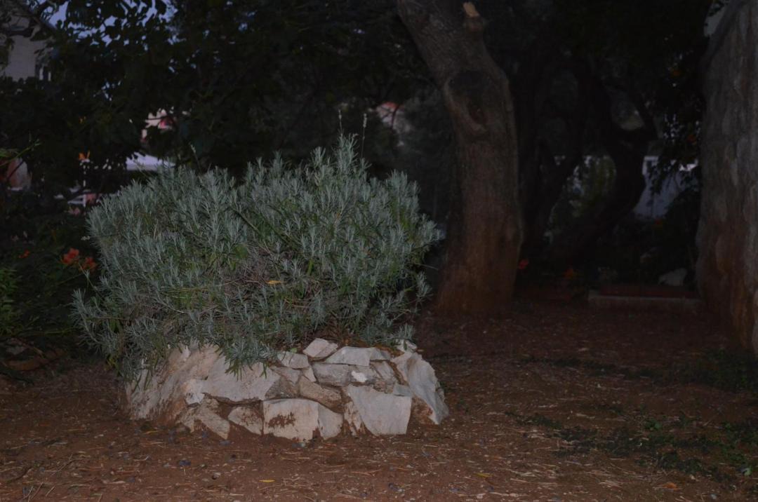 Photo of Others in Trpanj