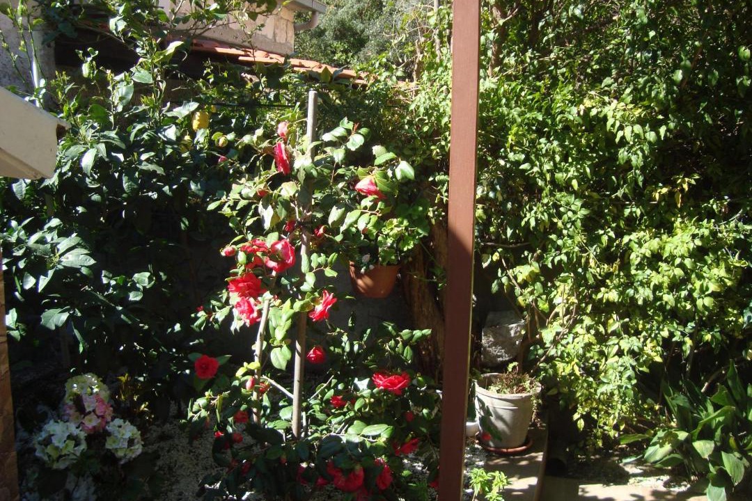 Photo of Others in Trstenik