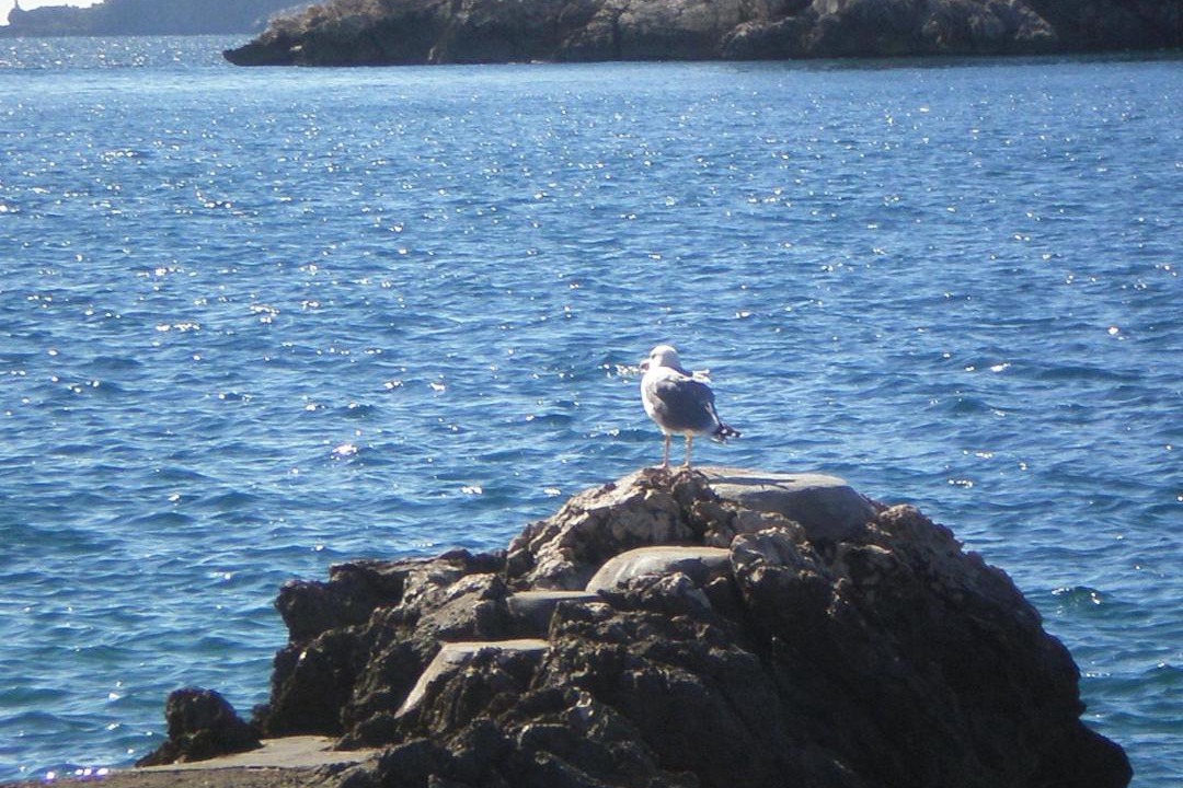 Photo of Others in Stikovica