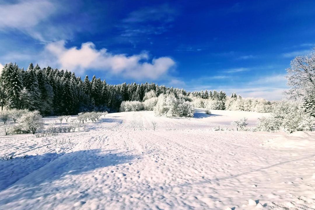 Photo of Others in Brod Moravice