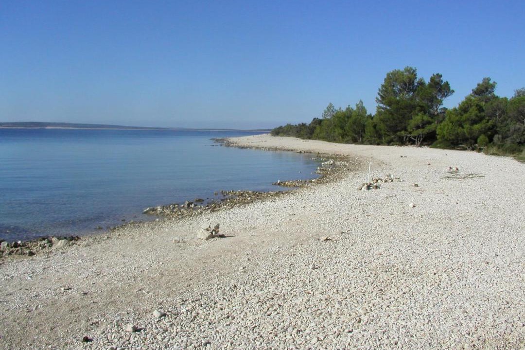 Photo of Others in Simuni