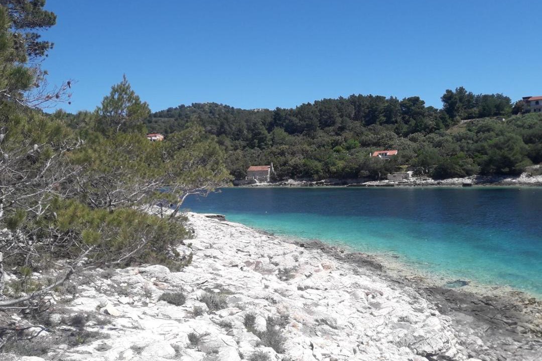 Photo of Others in Vela Luka