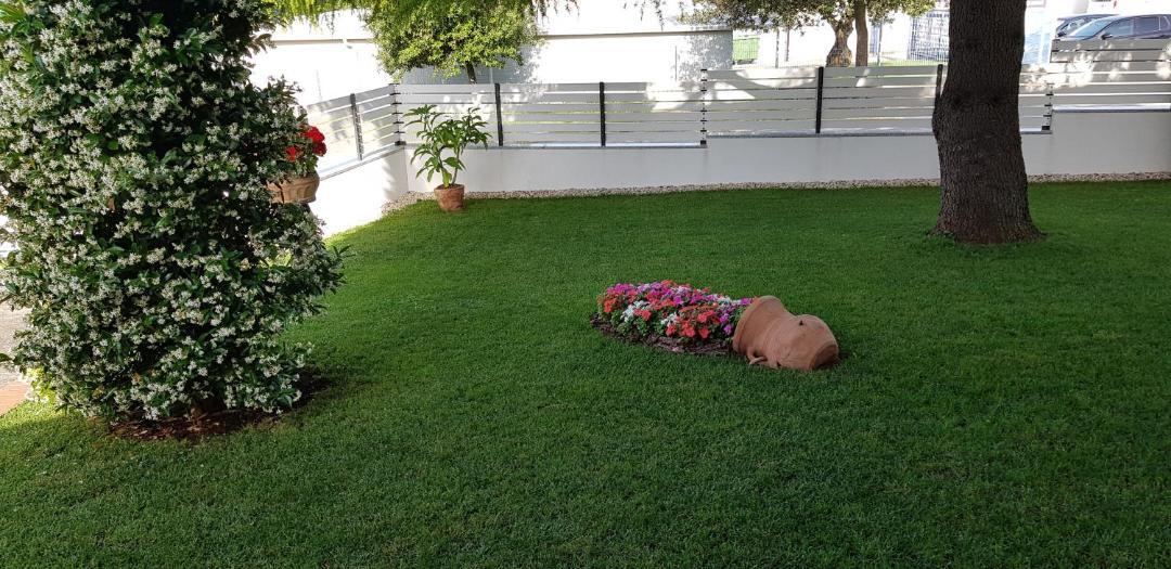Photo of Others in Umag