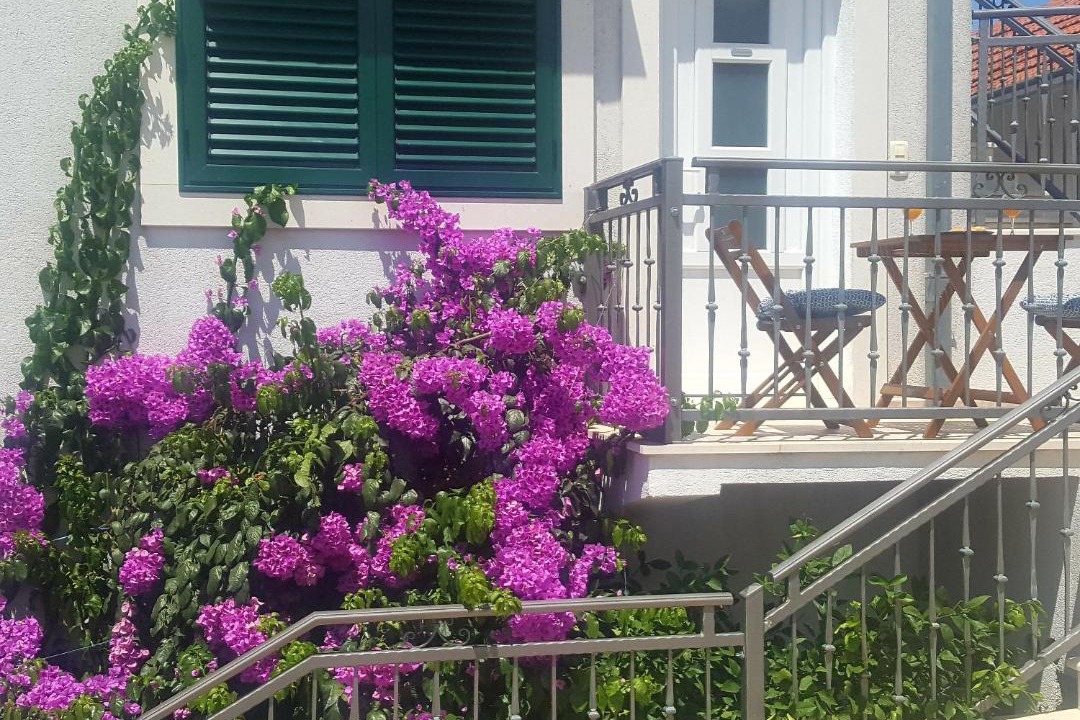 Photo of Others in Ploce