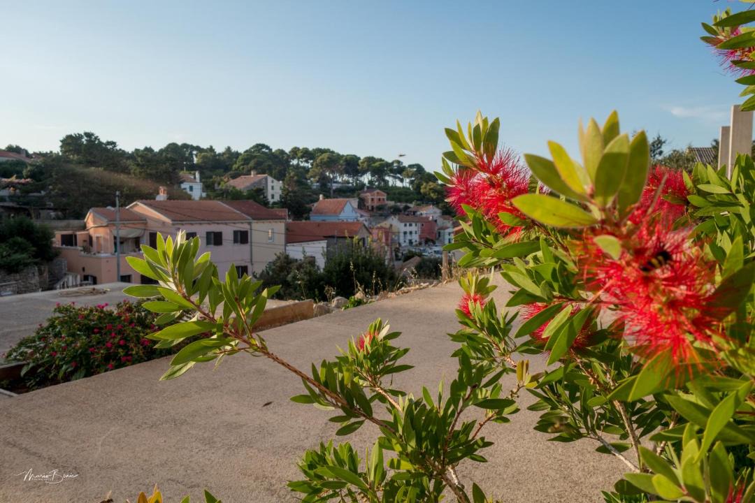 Photo of Others in Veli Losinj