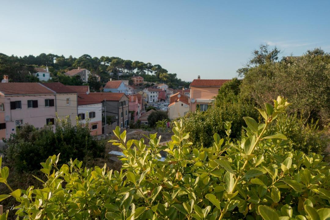 Photo of Others in Veli Losinj