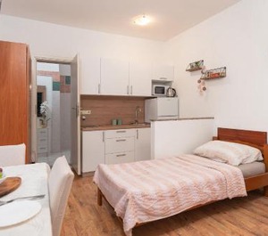 Apartments Ivan 