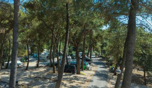 Comfort Pitch – empty lot