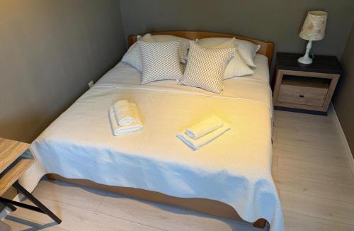 Bicine House | Villa Antonija