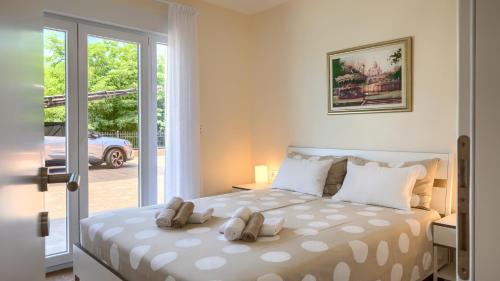 Kastel Villa | Modern villa Eva Kastel with pool near Buje