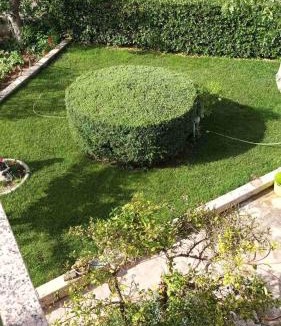 Privlaka Apartment | Studio in Privlaka - Zadar Riviera 7840