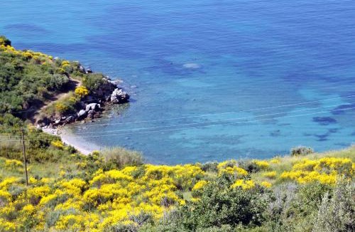 Plat Apartment | Apartments with parking space Plat, Dubrovnik - 4776