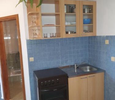 Srebreno Apartment | Villa Brasina