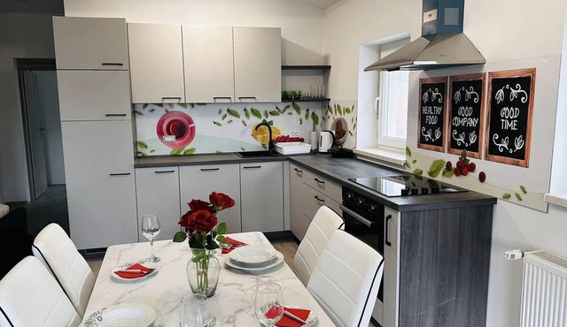 One bedroom apartment with balcony Delnice, Gorski kotar (A-21611-b)