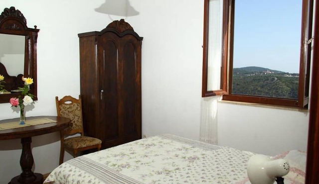 Apartment Mileta