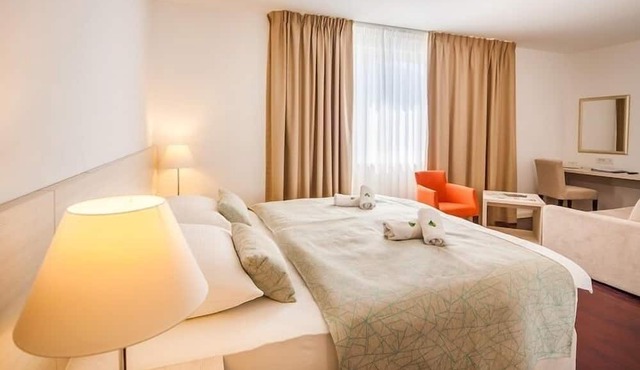 Hotel Borovnik