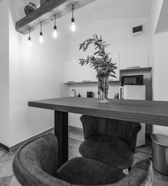 Studio apartma Kamin in Nova Vas