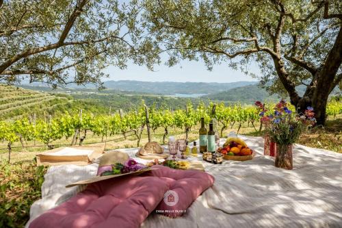 Villa with Private Pool & Lake View near Motovun, Casa Mille Olivi Modern